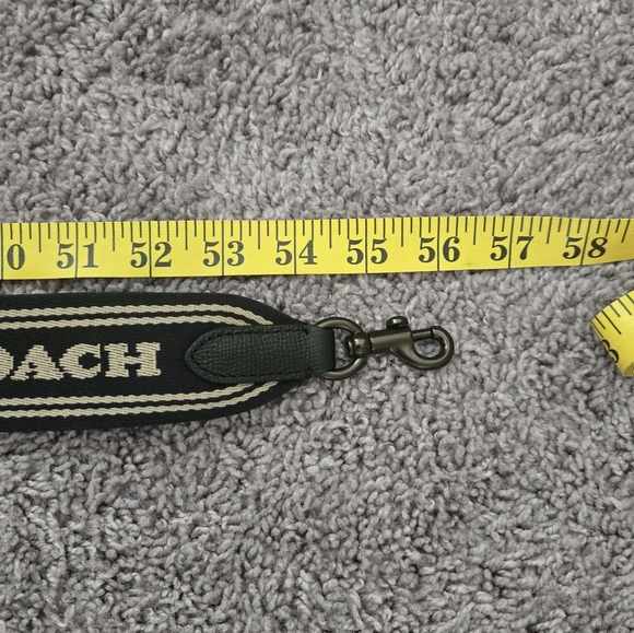 Coach Webbing Strap - Picture 6 of 6
